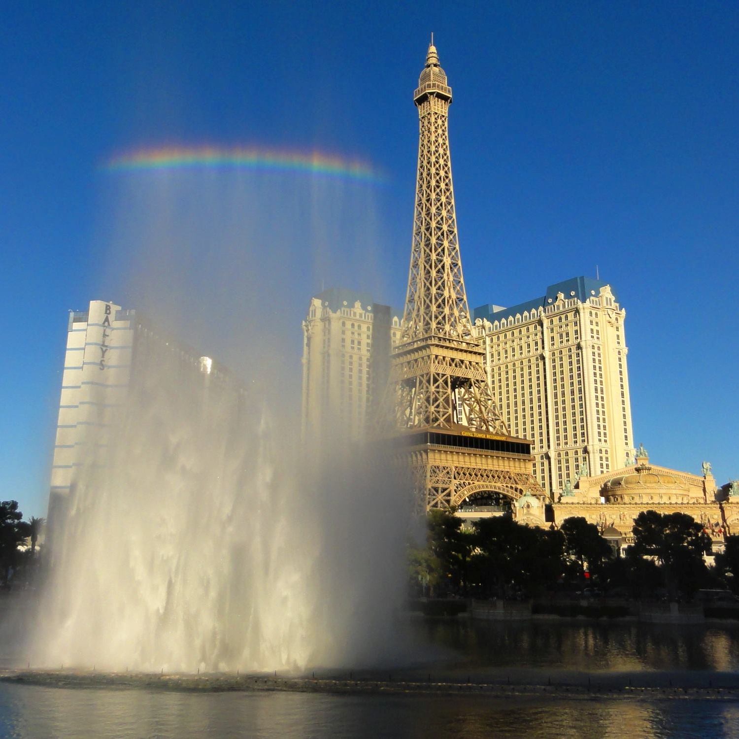 Vegas Baby! | Renewing Vows | by Sherri Tilley | Bellagio Fountains | Las Vegas, NV